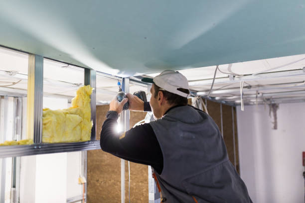 Best Specialty Insulation in Rolesville, NC