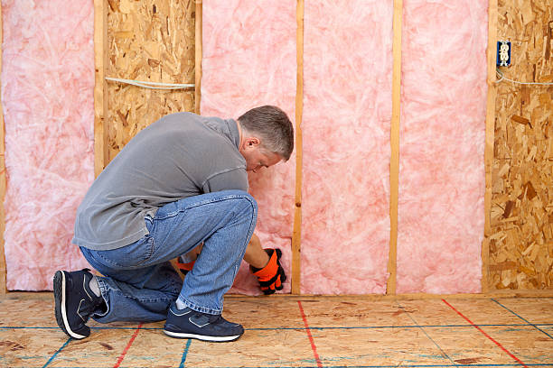 Best Types of Insulation in Rolesville, NC